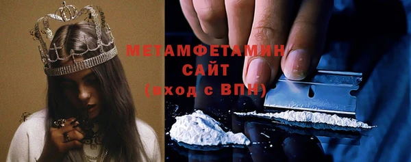 сатива Каменка