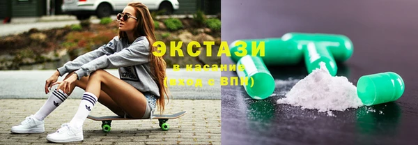 сатива Каменка