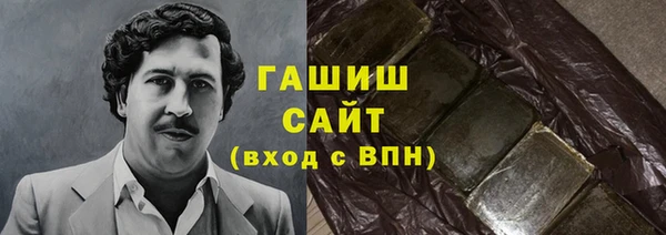 сатива Каменка