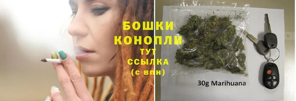 сатива Каменка