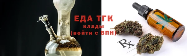 сатива Каменка