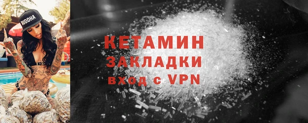 сатива Каменка