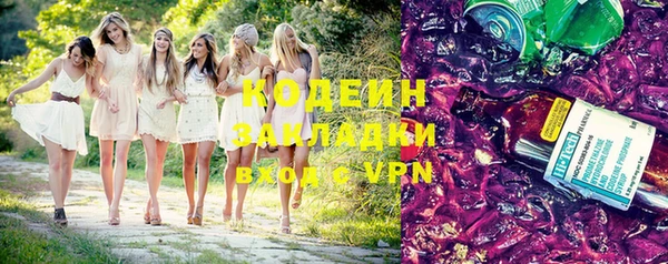 сатива Каменка