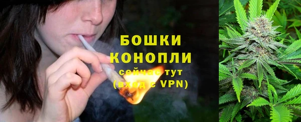 сатива Каменка