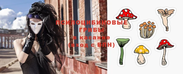 сатива Каменка