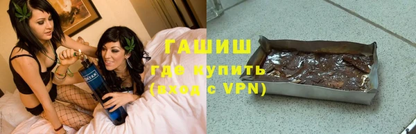 сатива Каменка
