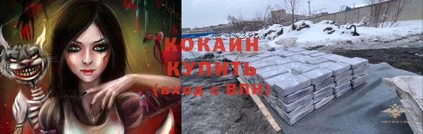 сатива Каменка