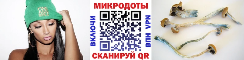 Купить  Калачинск  Псилоцибиновые грибы MAGIC MUSHROOMS 